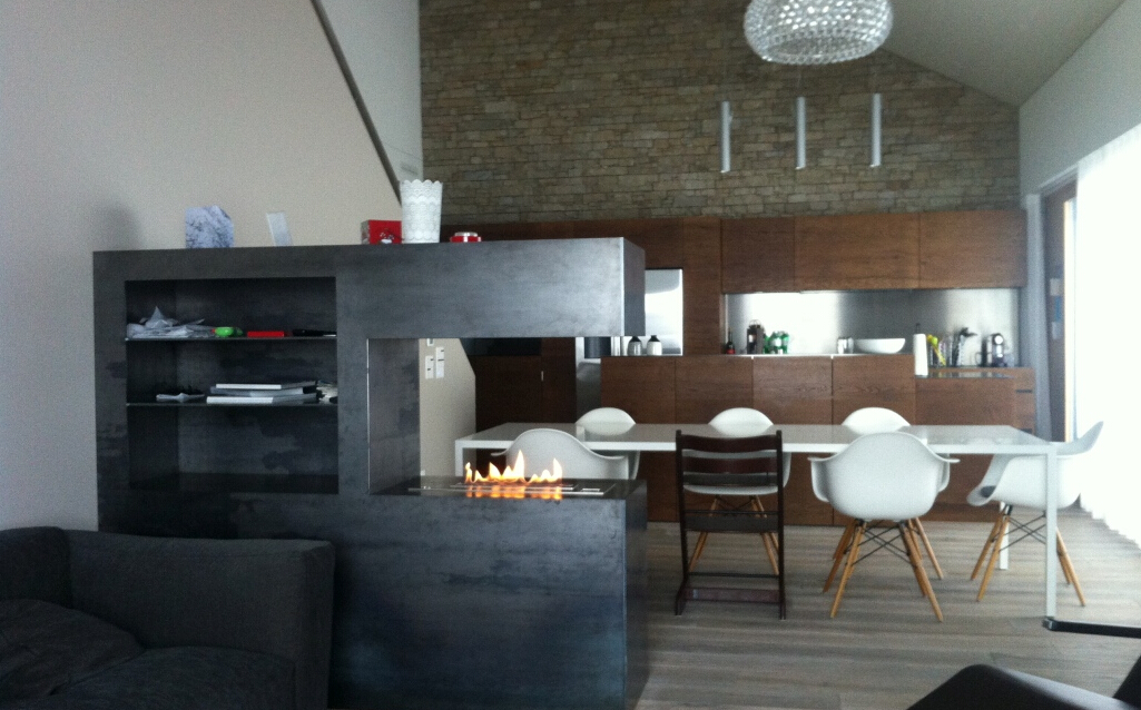 insert bioethanol fireplace AF66